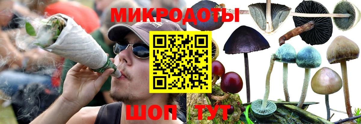 Псилоцибиновые грибы мухоморы Юрга